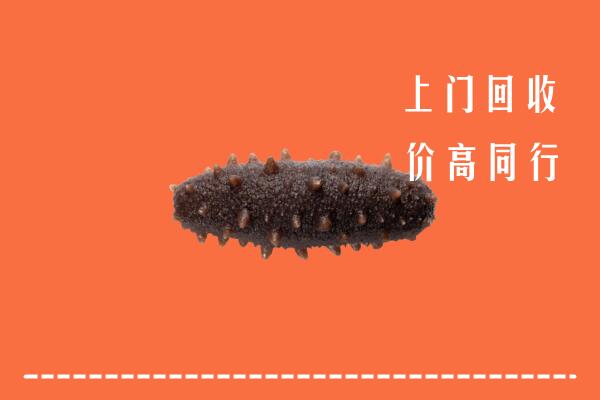 通化县回收海参