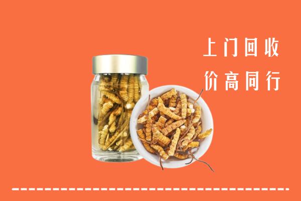 通化县回收冬虫夏草