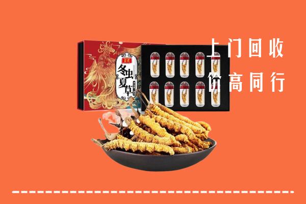 通化县回收虫草
